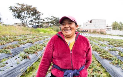 FACES expande el Crédito Verde Agropecuario y supera los $8 millones en cartera durante 2025